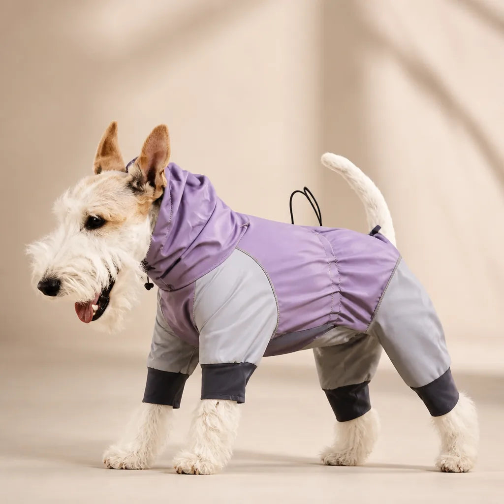 Manteau En Softshell Pour Chien