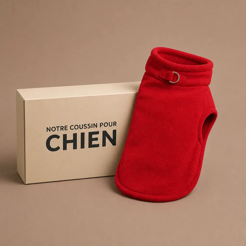 Manteau Laine Pour Chien