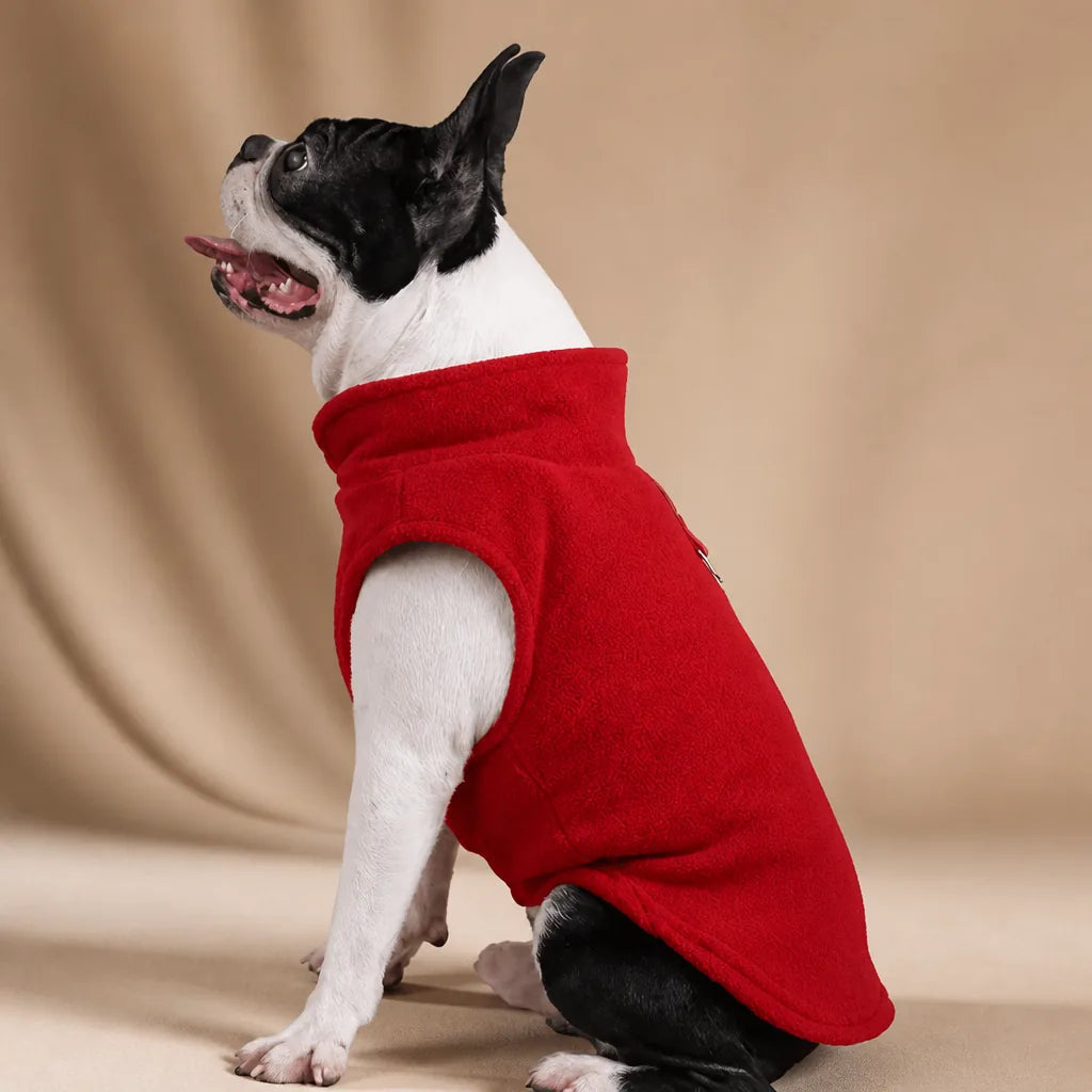 Manteau Laine Pour Chien
