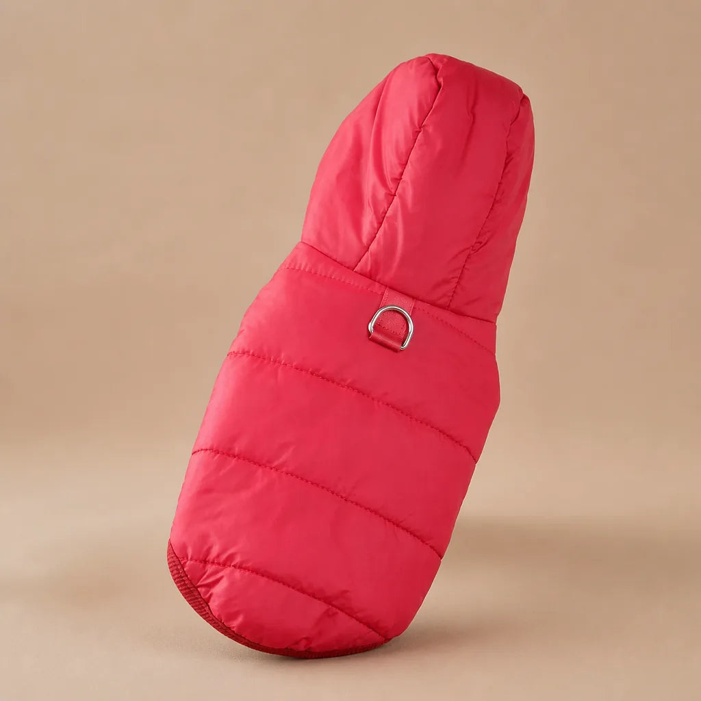 Manteau Polaire Pour Petit Chien