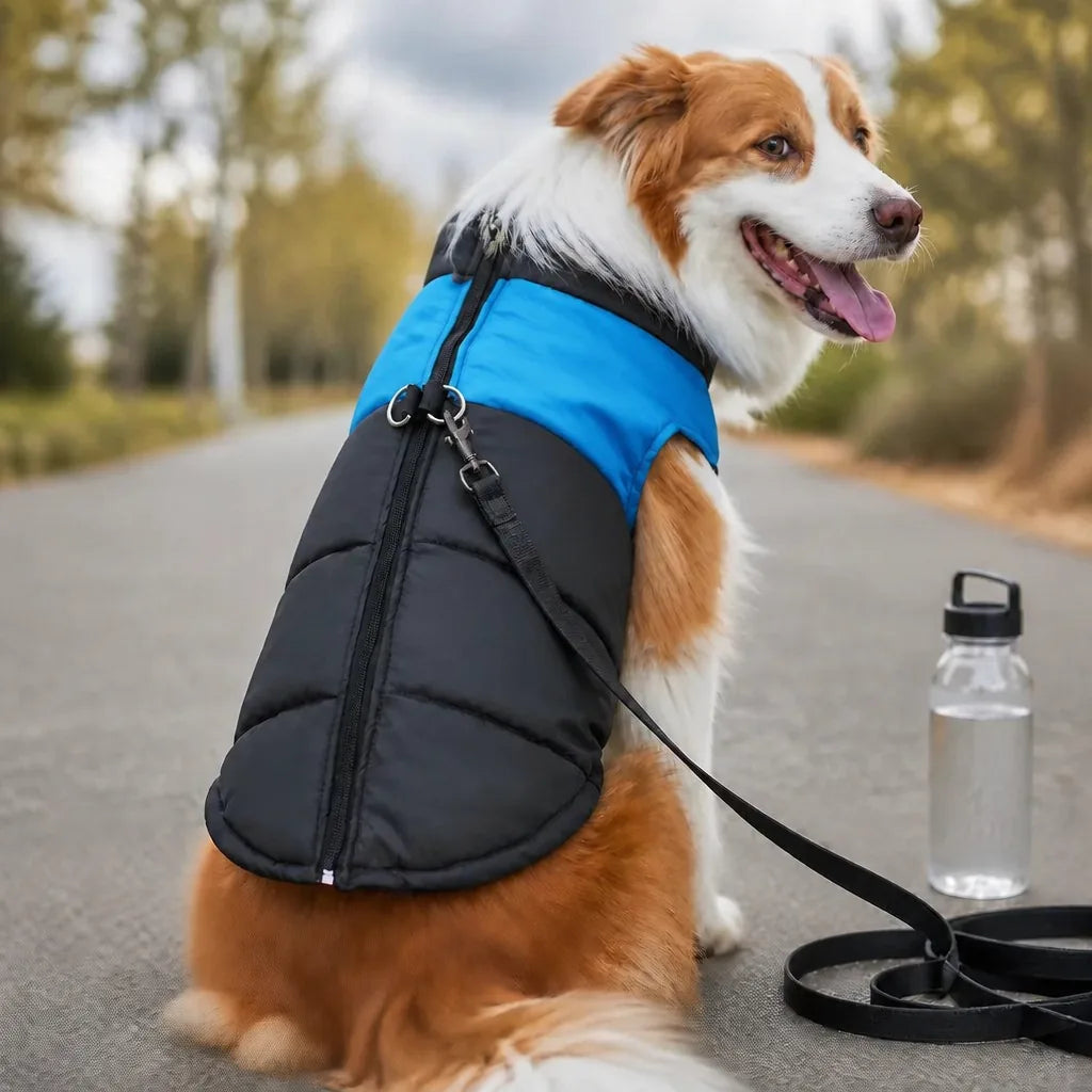 Manteau Pour Chien 50 Cm