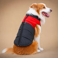 Manteau Pour Chien 50 Cm