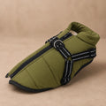 Manteau Pour Chien Avec Harnais Intégré