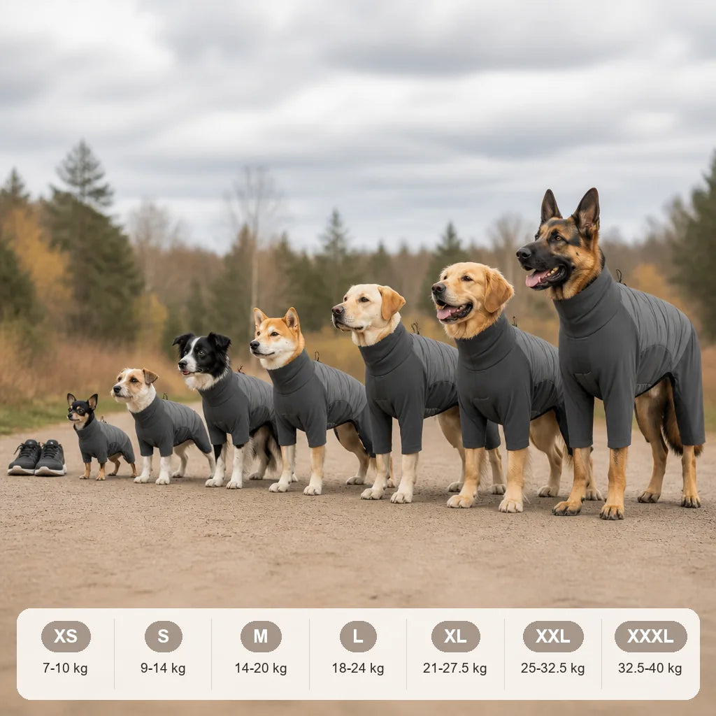 manteau-pour-chien-avec-pattes