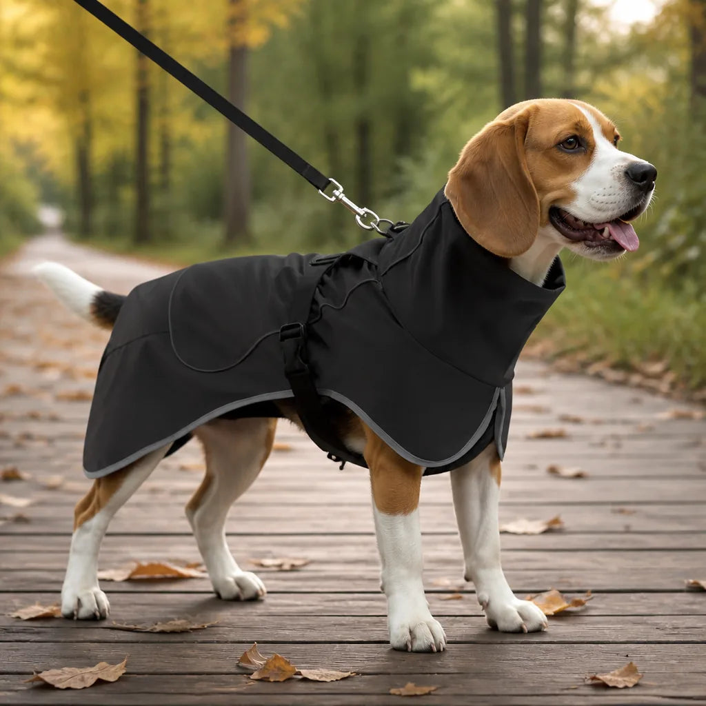 manteau-pour-chien-beagle