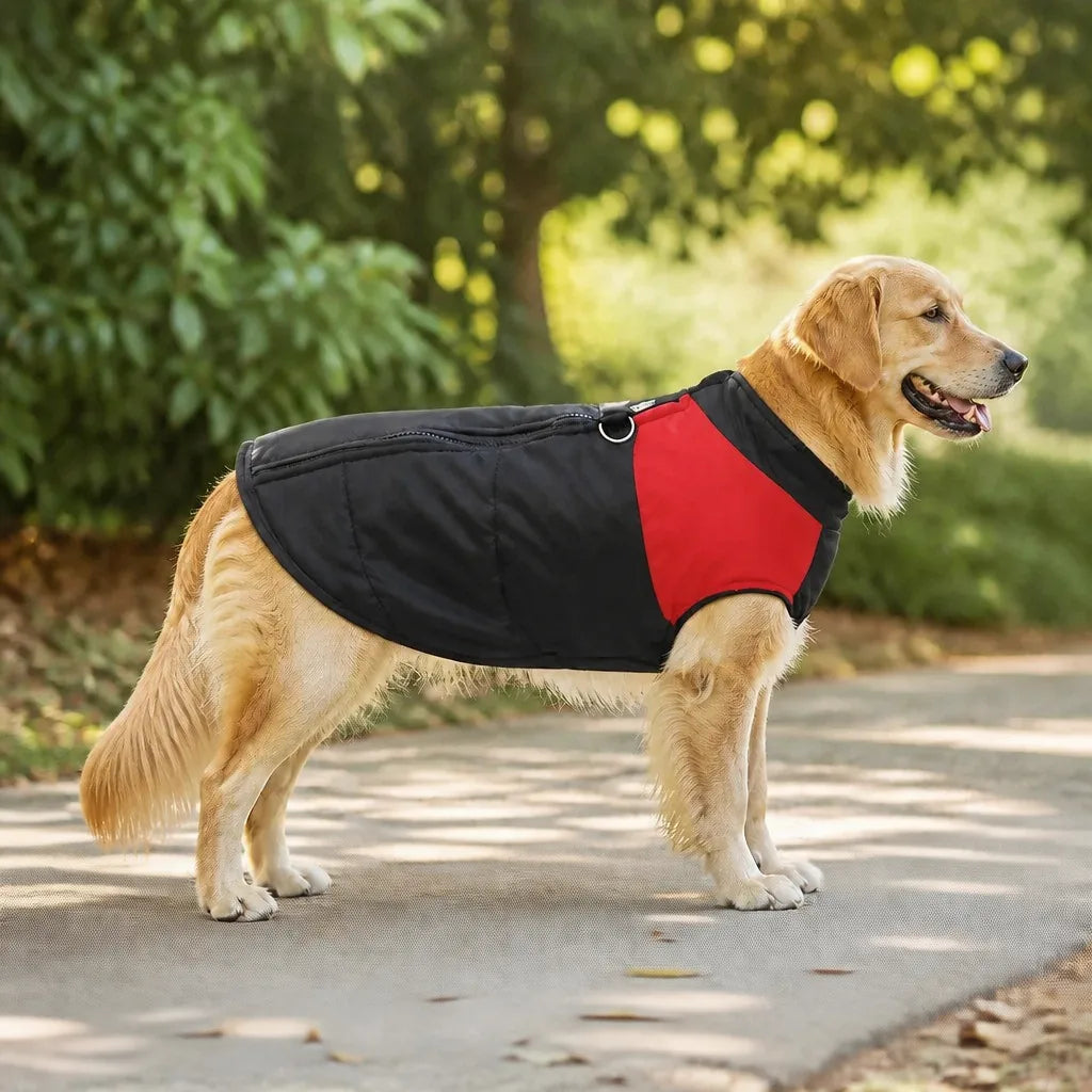 Manteau Pour Chien Berger Australien
