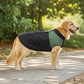 Manteau Pour Chien Berger Australien