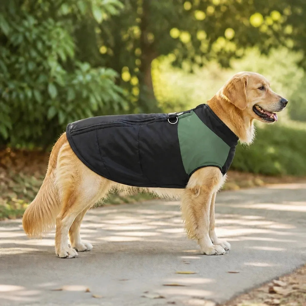 Manteau Pour Chien Berger Australien