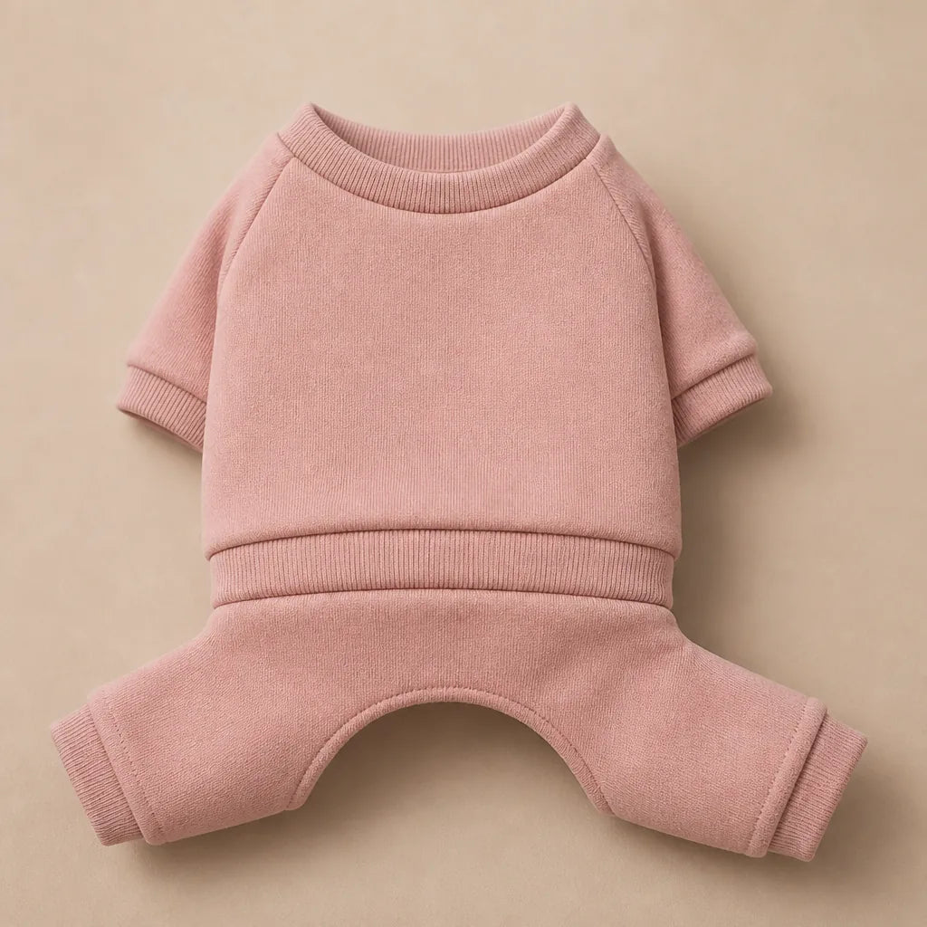 Manteau Pour Chien Bichon Frise