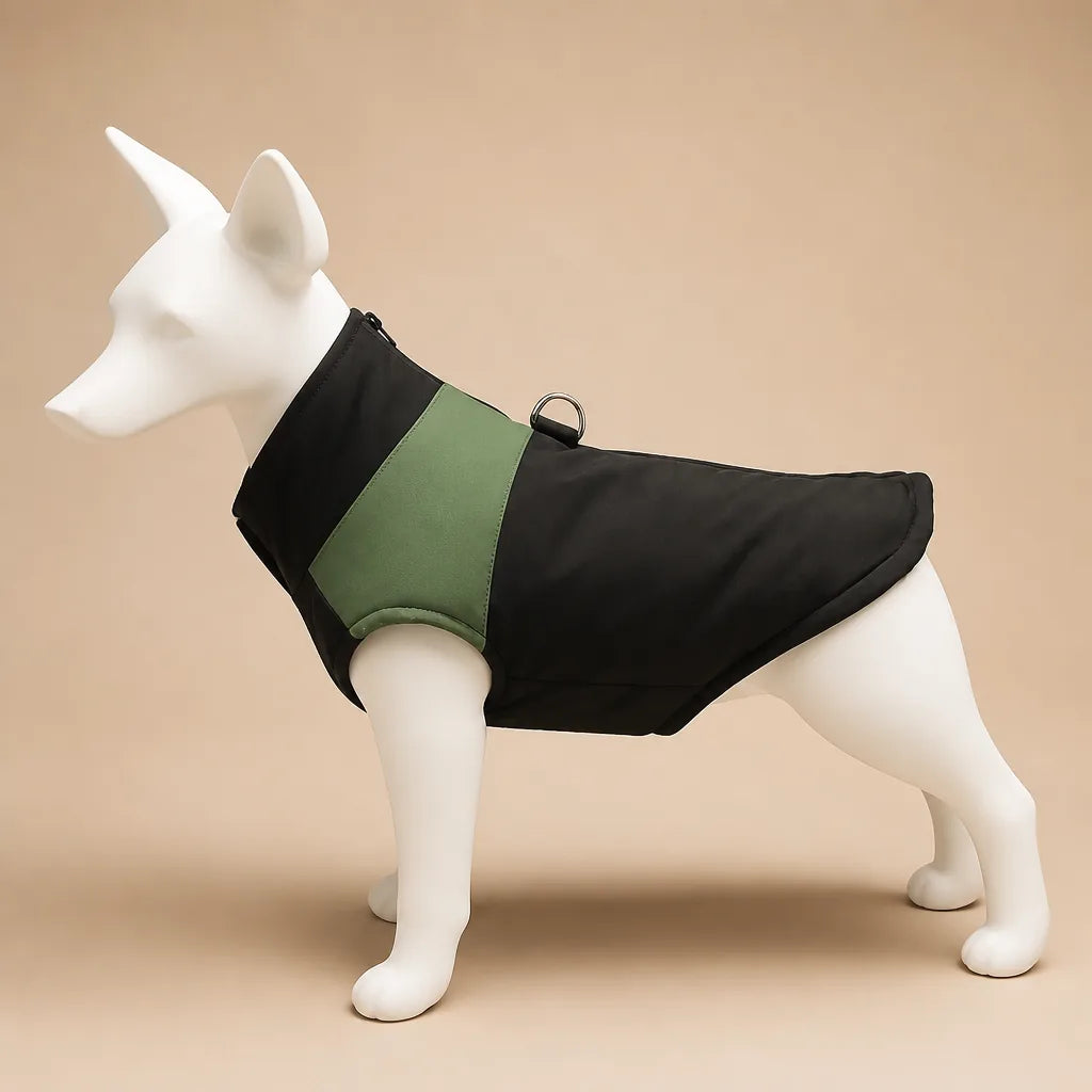 Manteau Pour Chien Border Collie