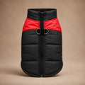 Manteau Pour Chien Border Collie