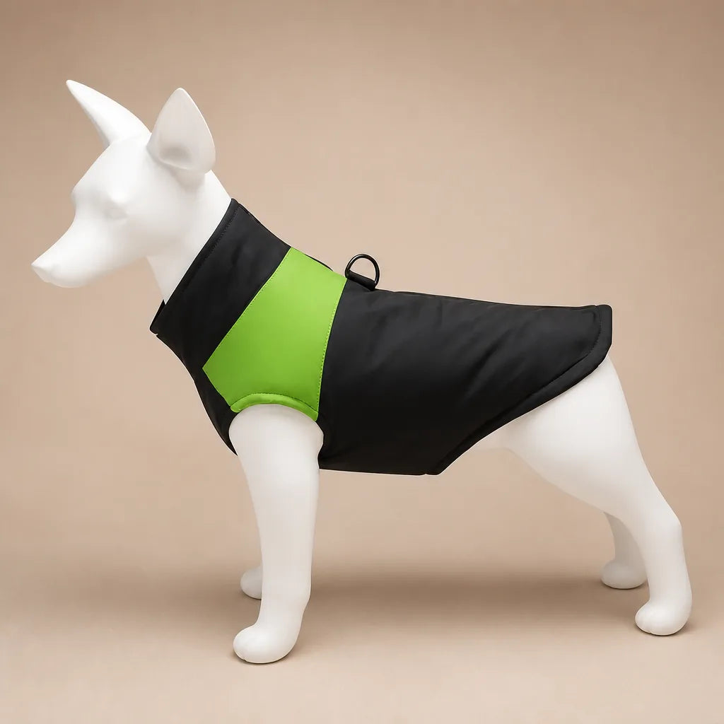 Manteau Pour Chien Boxer