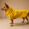 Manteau Pour Chien Cane Corso