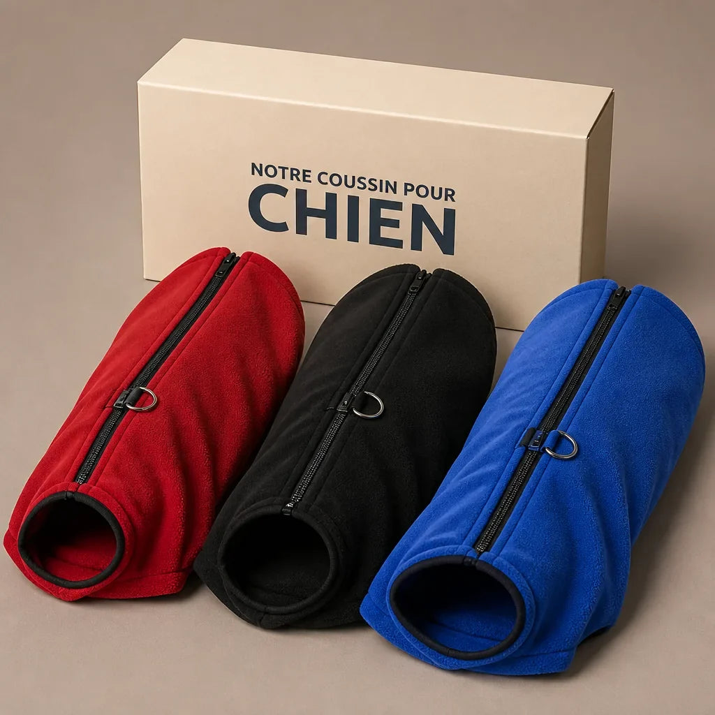 manteau-pour-chien-carlin