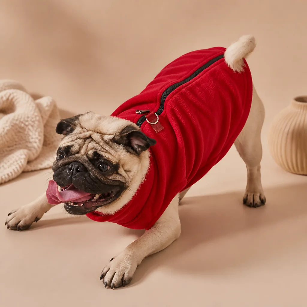 Manteau Pour Chien Carlin