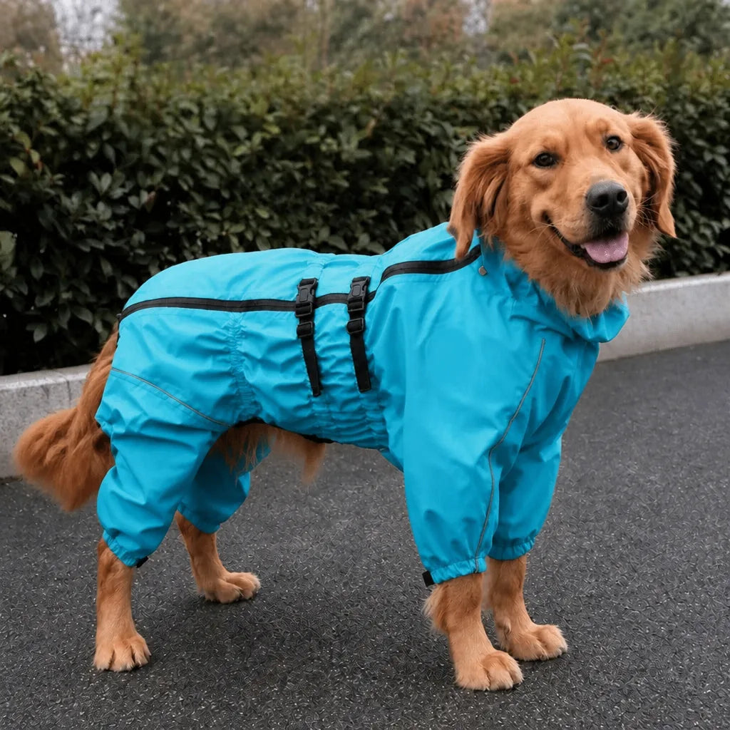 Manteau Pour Chien Cocker