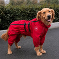 manteau-pour-chien-cocker