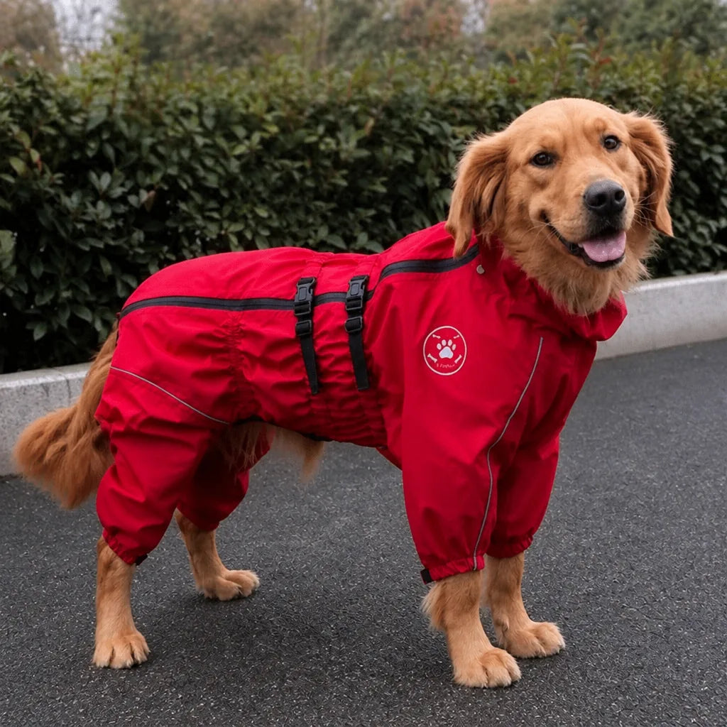 manteau-pour-chien-cocker