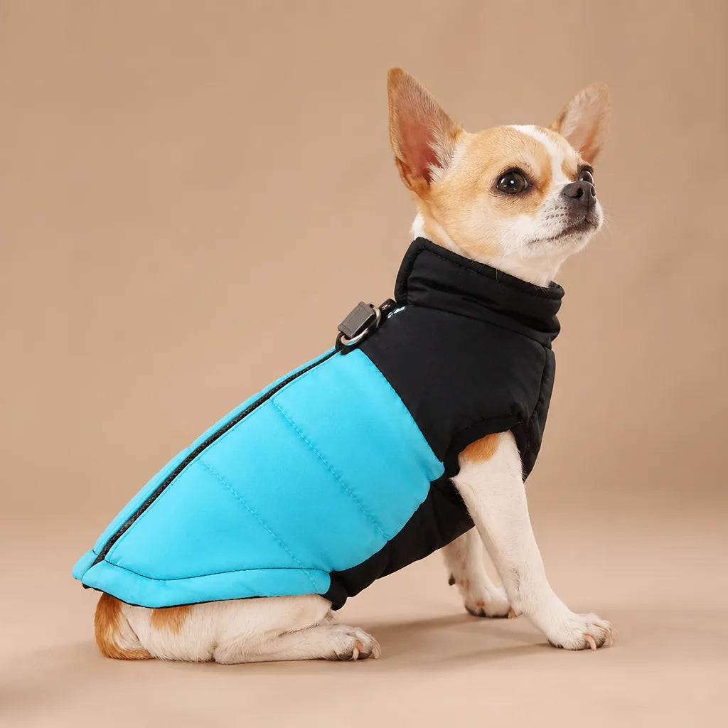 Manteau Pour Chien Golden Retriever