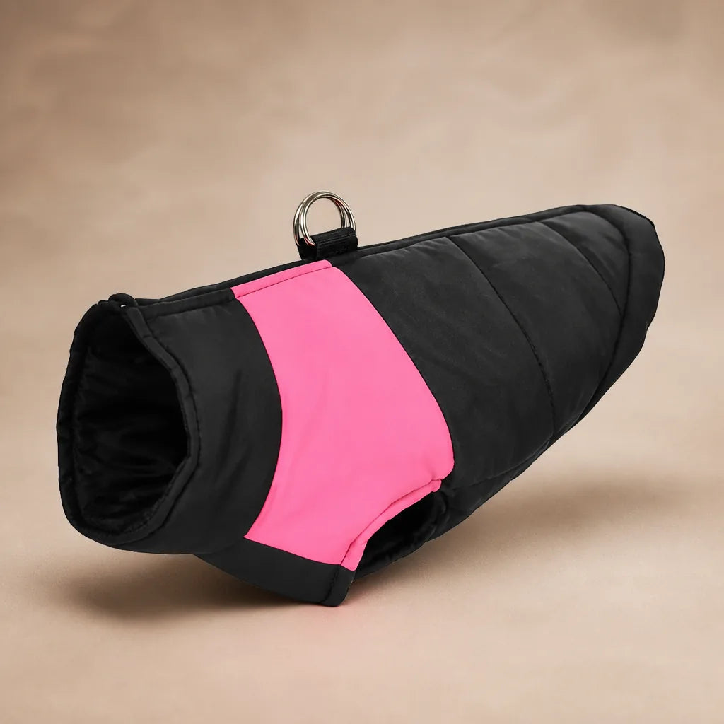 Manteau Pour Chien Labrador