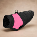 Manteau Pour Chien Labrador