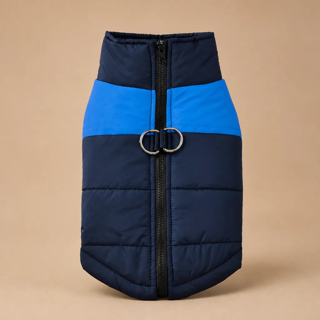 Manteau Pour Chien Labrador
