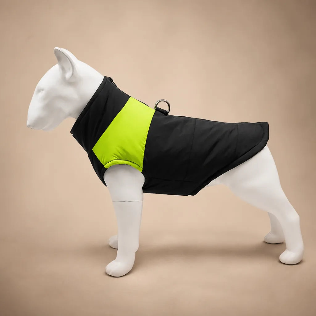 Manteau Pour Chien Labrador