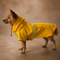 Manteau Pour Chien Levrier