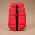 Manteau Pour Chien Pinscher