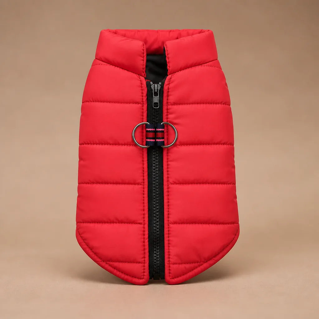 Manteau Pour Chien Pinscher