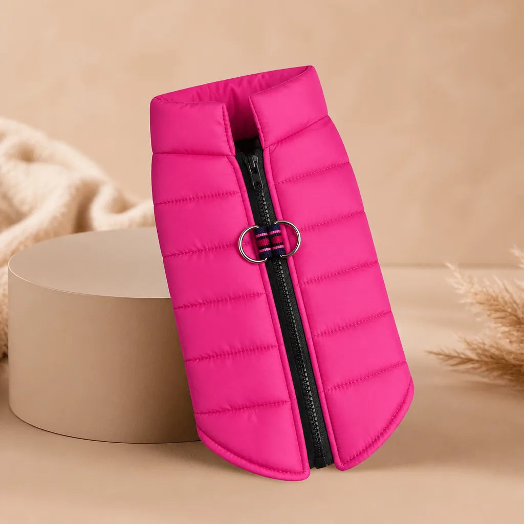 Manteau Pour Chien Pinscher