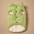 Manteau Pour Chien Spitz