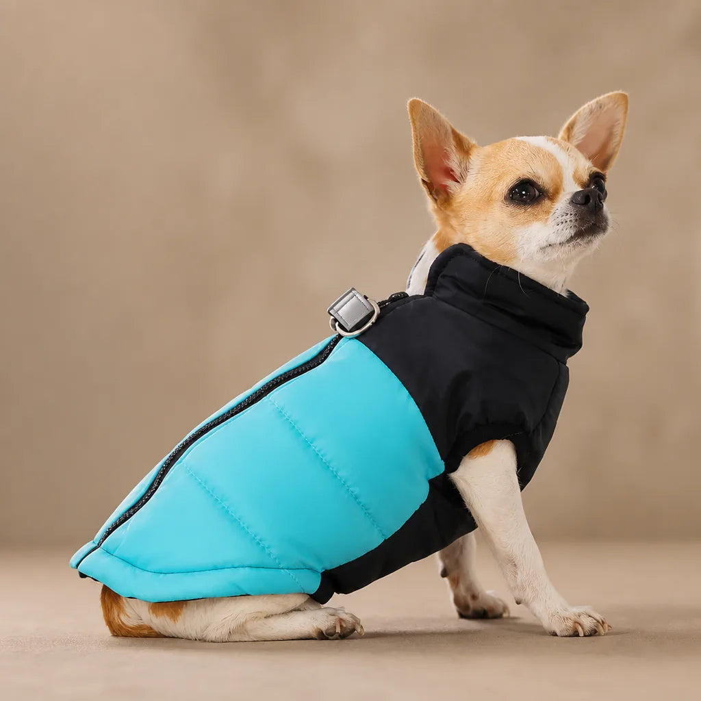 Manteau Pour Chien Taille M