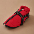Manteau Pour Chien Taille Xs