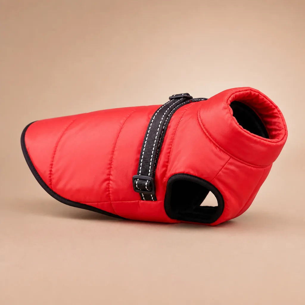 Manteau Pour Chien Taille