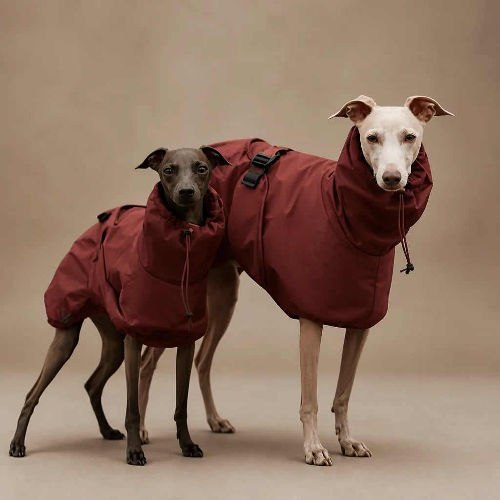 Manteau Pour Chien Whippet