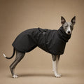 Manteau Pour Chien Whippet