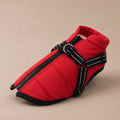 Manteau Pour Chien Xxs
