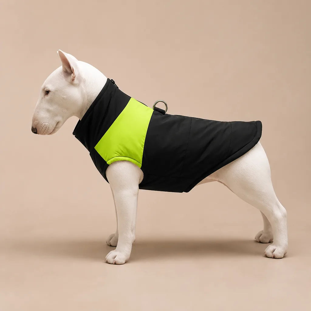 Manteau Pour Chien