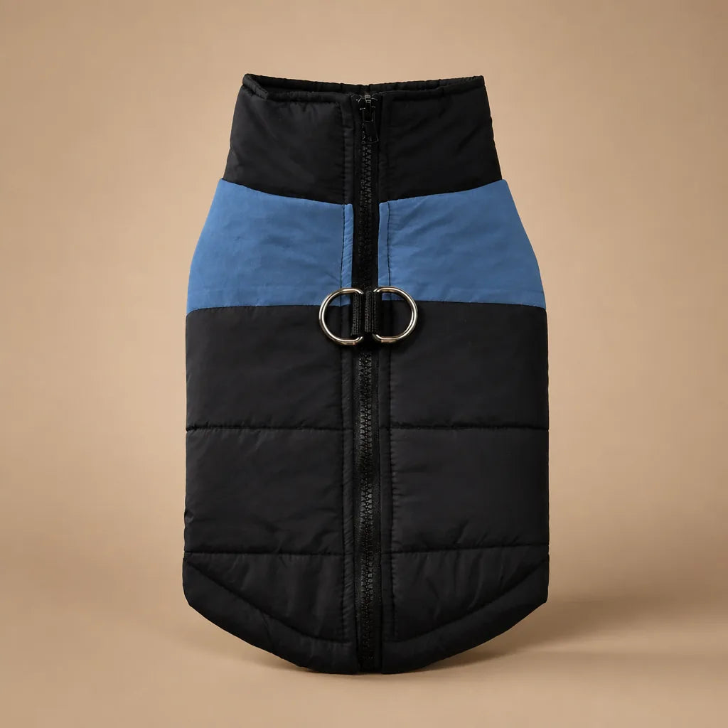 Manteau Pour Chien