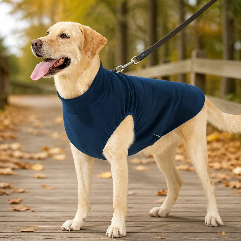 manteau-pull-pour-chien