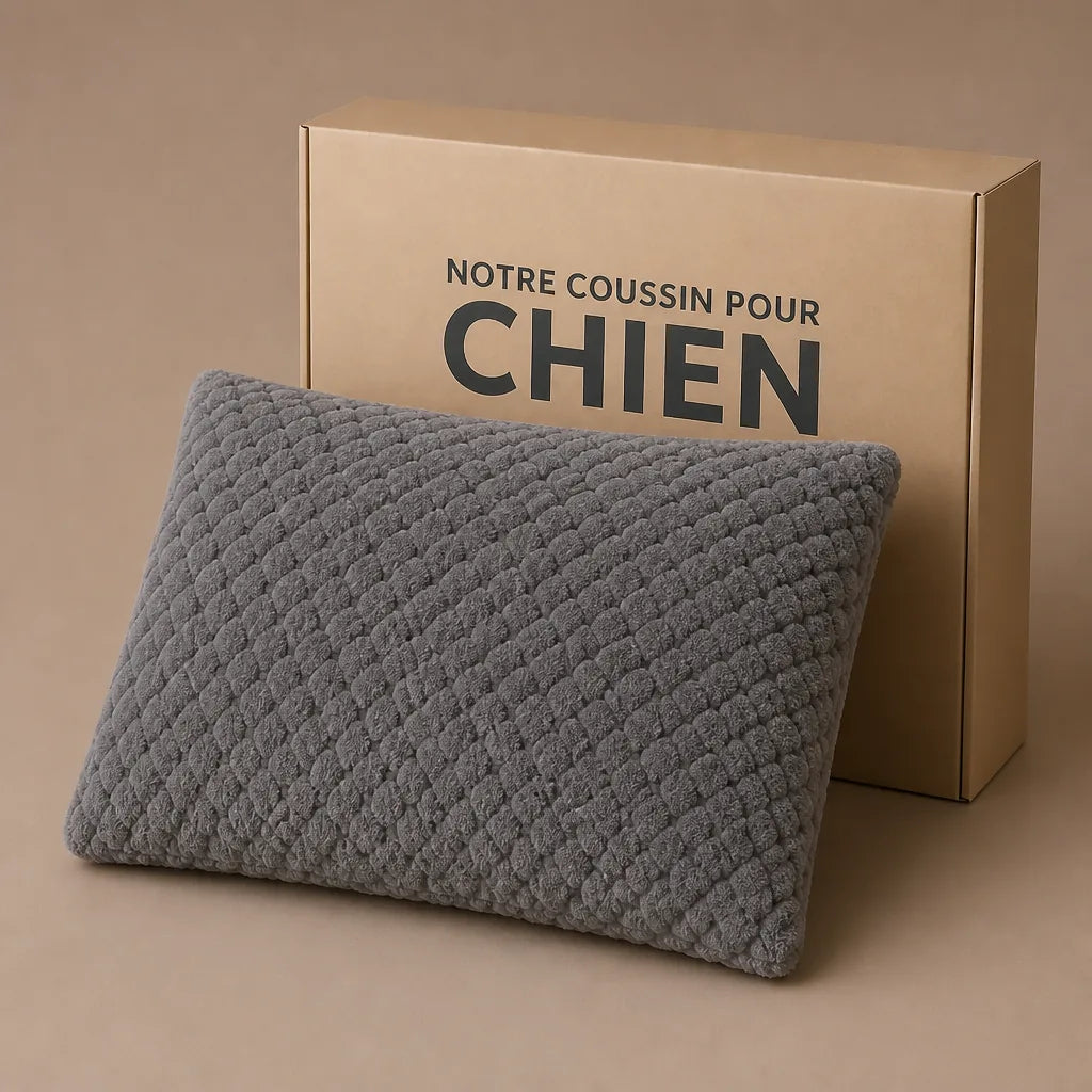 Mousse Pour Panier Chien