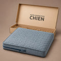 mousse-pour-tapis-chien
