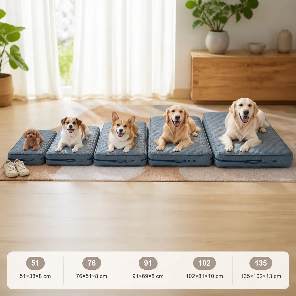 mousse-pour-tapis-chien