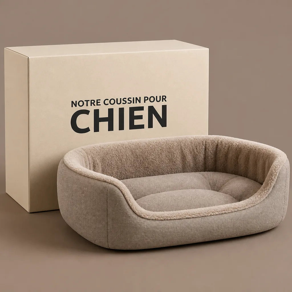 panier-canape-pour-chien