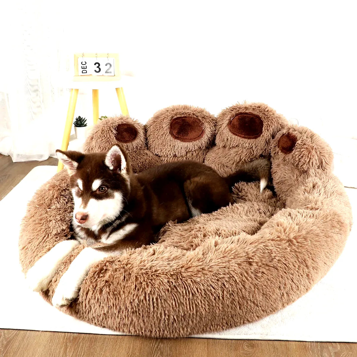 panier-coussin-pour-chien