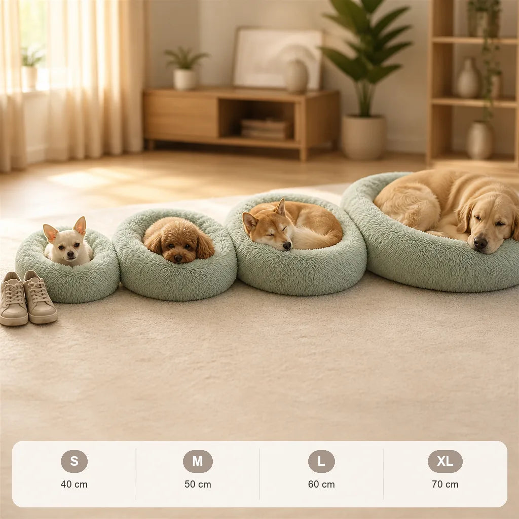 panier-donut-pour-chien