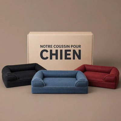 VOTRE ARTICLE