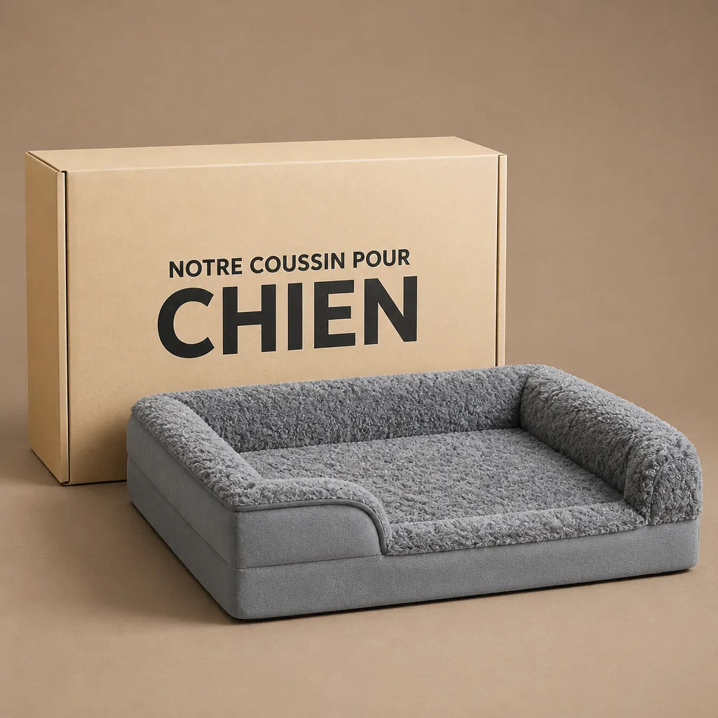 panier-dur-pour-chien