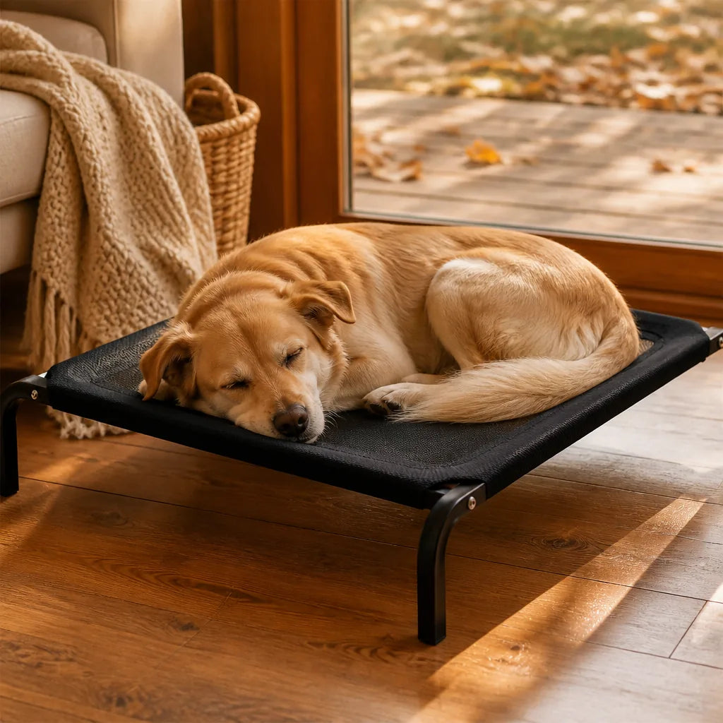 panier-haut-pour-chien